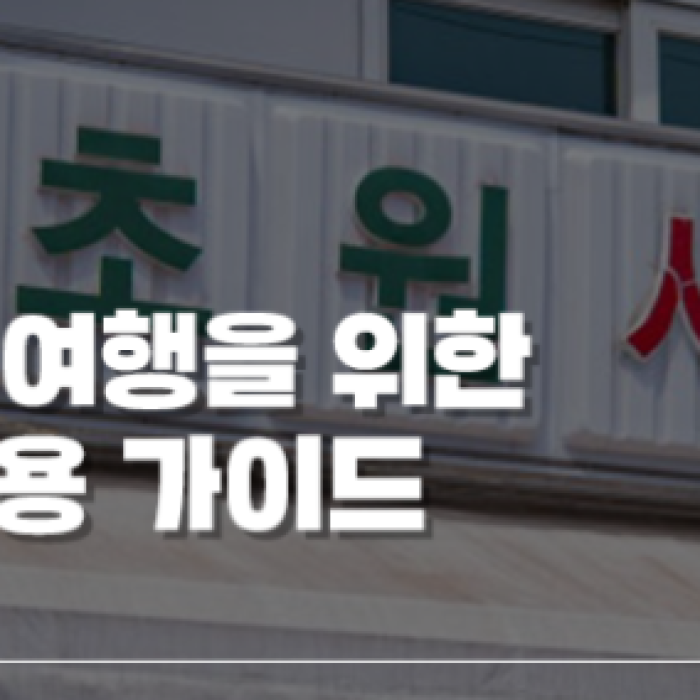 Exploring Gunsan: A Perfect Day Trip with the City Tour Bus2328