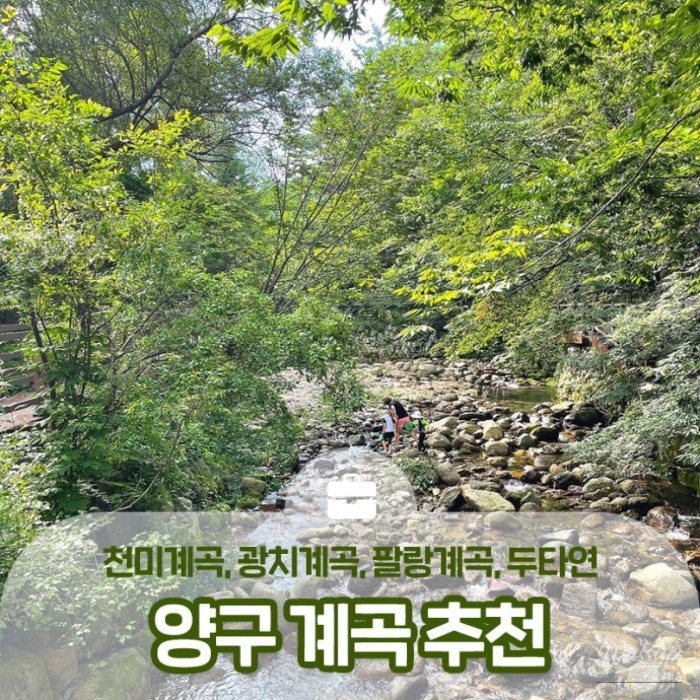 Recommended Valleys in Yanggu: Cheonmi, Gwangchi, Pallang, and Duta465