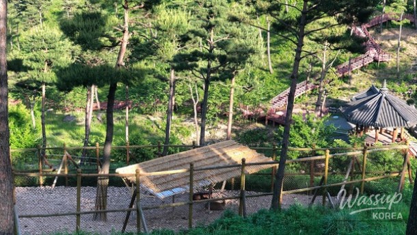 Explore Tranquil Healing Spots in Korea This Spring_05
