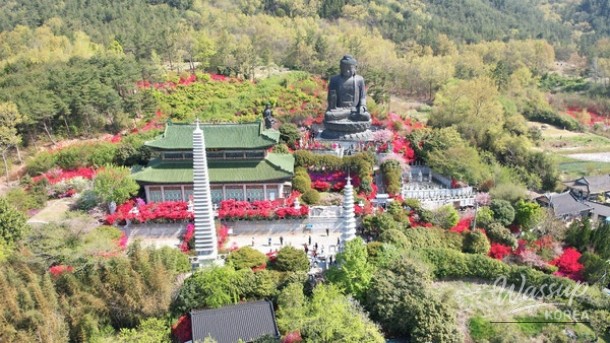 The Blooming Beauty of NamMiruksa Temple in April_01