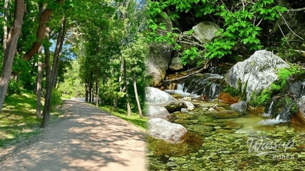 Exploring the Natural Beauty of Yangju in Early April_01