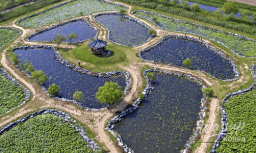 Discovering the Hidden Gems of Wanju: Top 4 Places to Visit_12