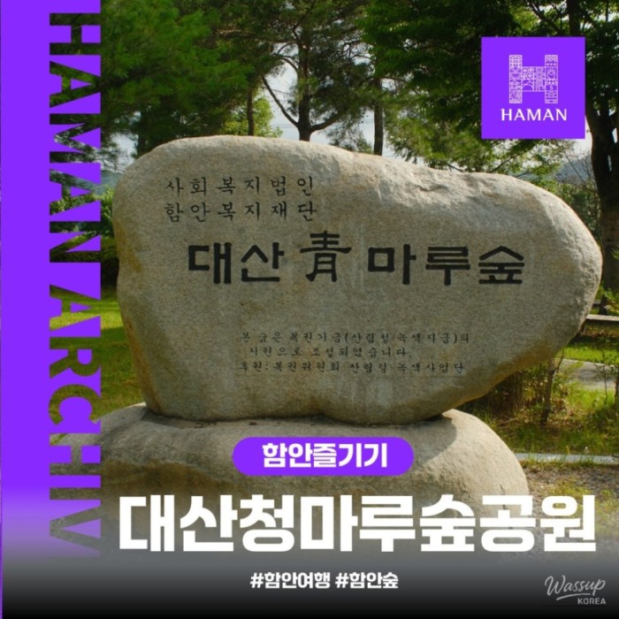 Discovering Daesan Cheongmaru Forest Park in Hamann2335