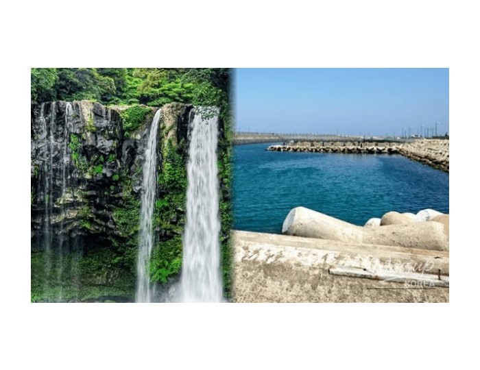 Exploring the Enchanting Night Views of Jeju in Early April float