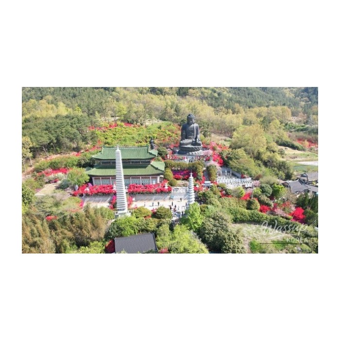The Blooming Beauty of NamMiruksa Temple in April4806