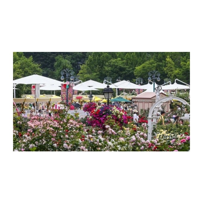 Introducing Team Everland: Exciting New Membership Benefits4804