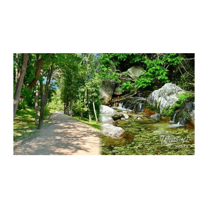 Exploring the Natural Beauty of Yangju in Early April4802