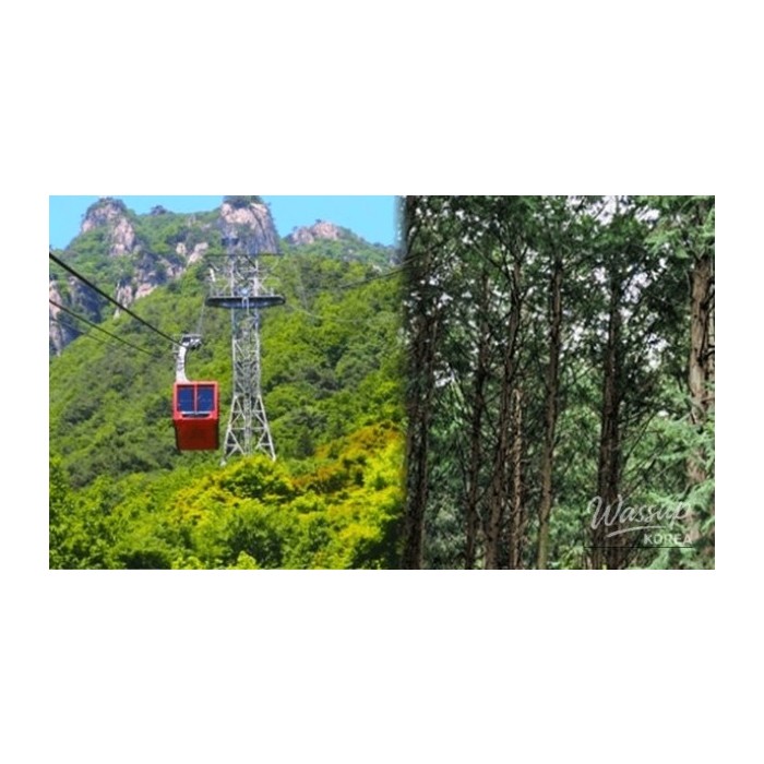 Discovering the Hidden Gems of Wanju: Top 4 Places to Visit4800
