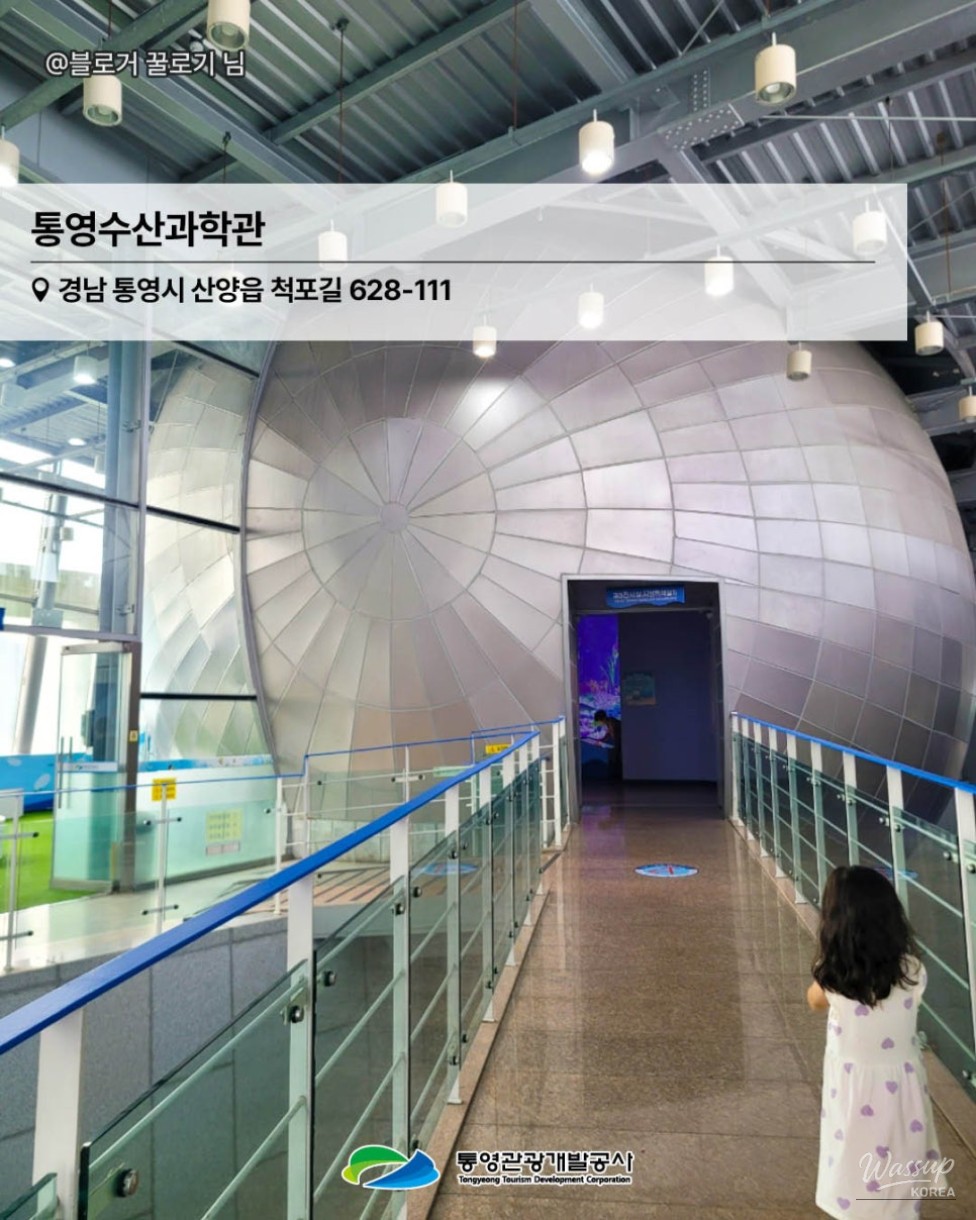 Explore Tongyeong: Your Perfect Summer Getaway_10