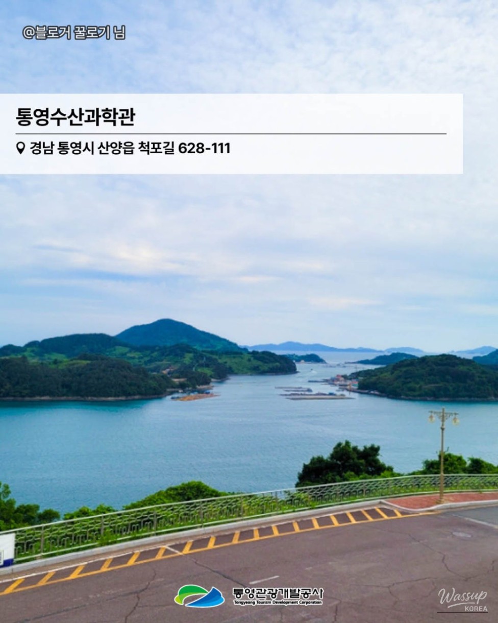 Explore Tongyeong: Your Perfect Summer Getaway_11