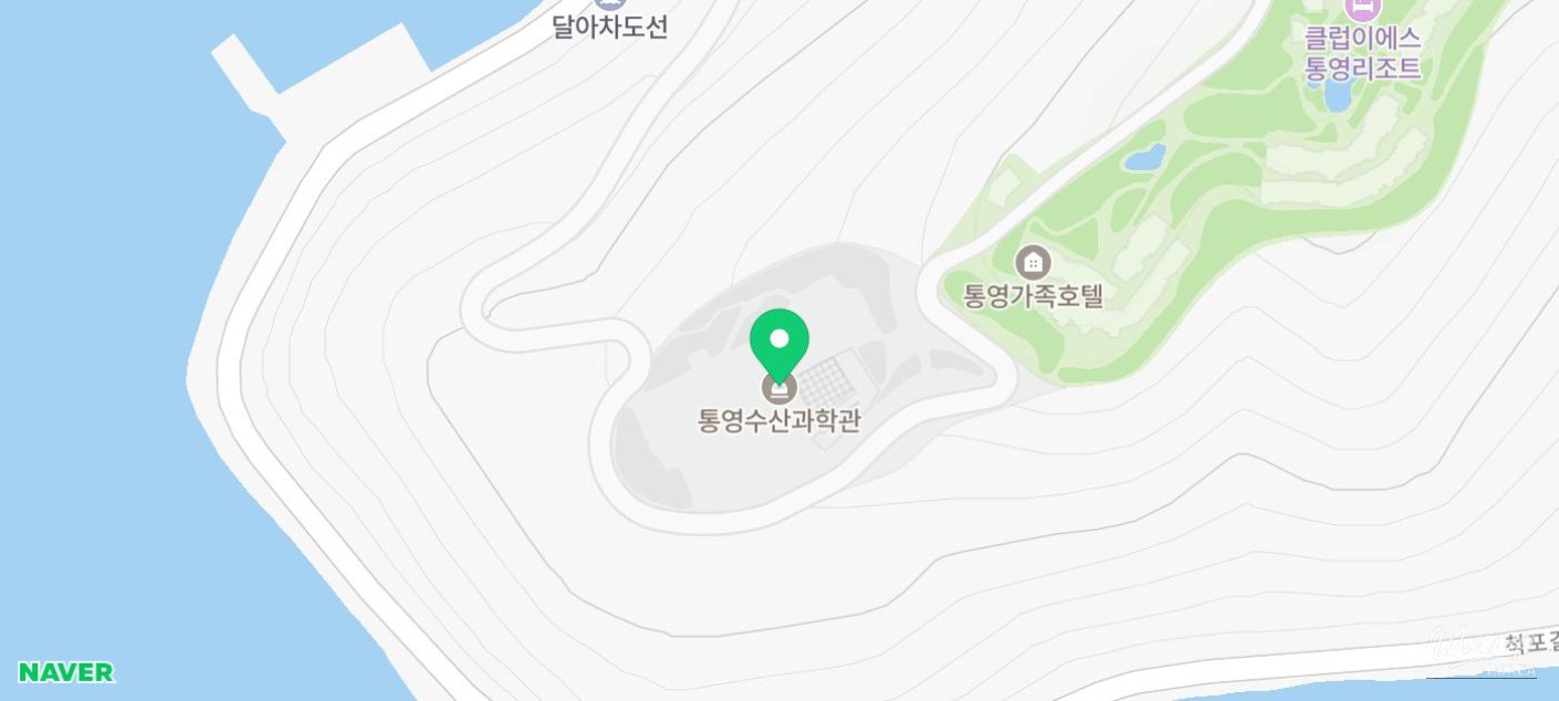 Explore Tongyeong: Your Perfect Summer Getaway_12