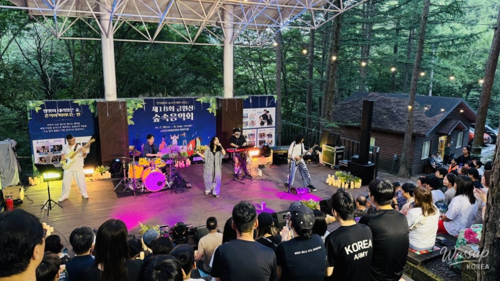 The 18th Geochang Gumwonsan Forest Music Festival: A Night Under the Stars_14