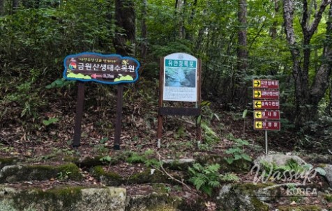 The 18th Geochang Gumwonsan Forest Music Festival: A Night Under the Stars_07