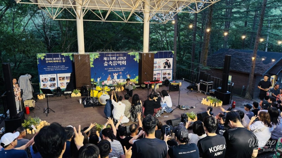 The 18th Geochang Gumwonsan Forest Music Festival: A Night Under the Stars_15