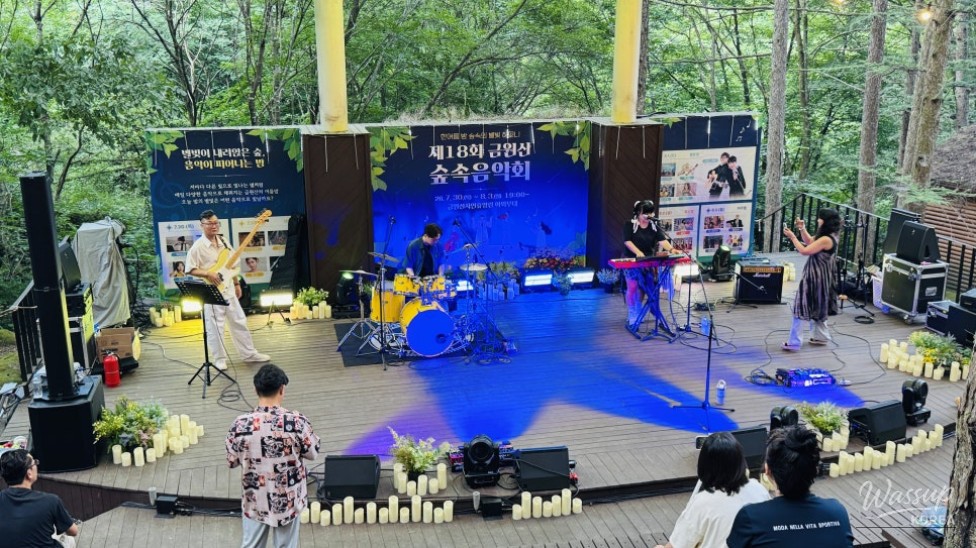 The 18th Geochang Gumwonsan Forest Music Festival: A Night Under the Stars_11