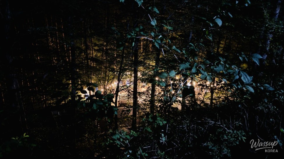 The 18th Geochang Gumwonsan Forest Music Festival: A Night Under the Stars_33
