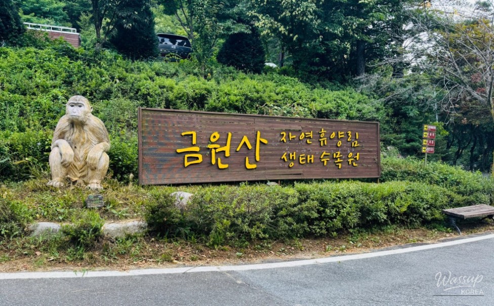 The 18th Geochang Gumwonsan Forest Music Festival: A Night Under the Stars_03