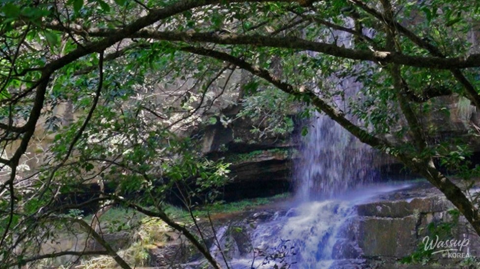 5 Refreshing Summer Destinations in Goesan_03