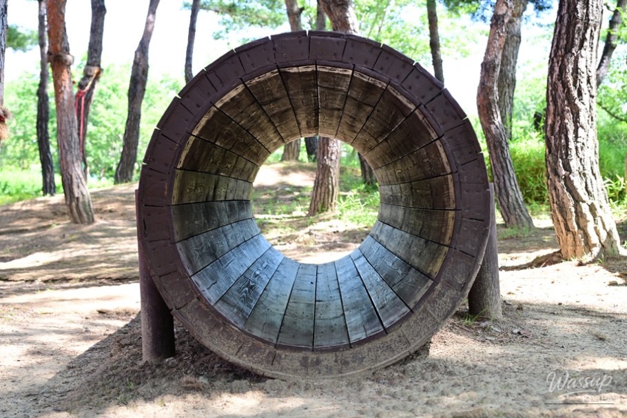 Exploring Hamju Park: A Serene Retreat in Hamann_05