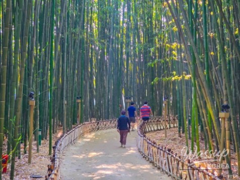Exploring the Serene Taehwa River National Garden in Ulsan_09