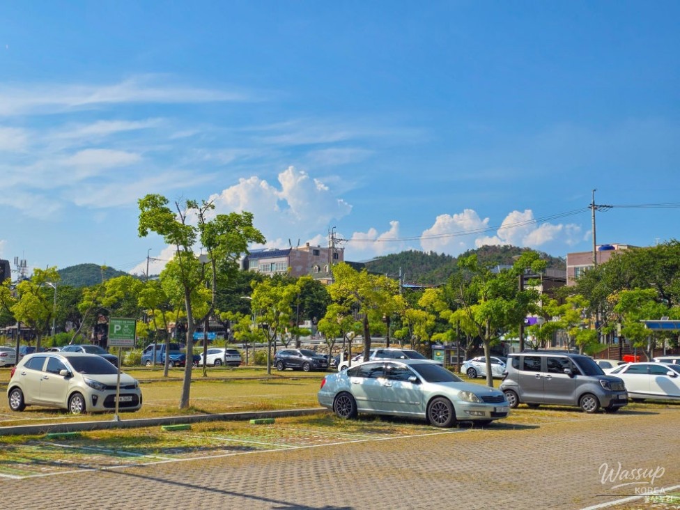 Exploring the Serene Taehwa River National Garden in Ulsan_03