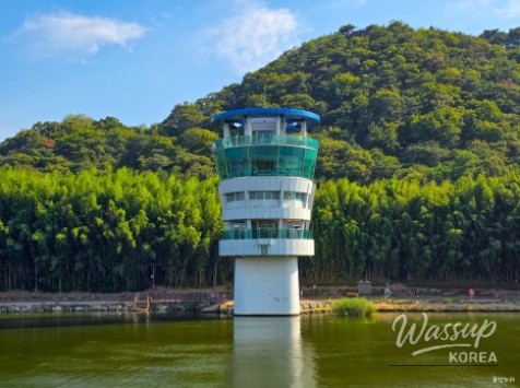 Exploring the Serene Taehwa River National Garden in Ulsan_12