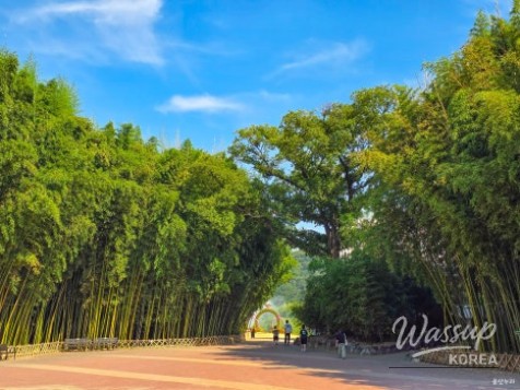 Exploring the Serene Taehwa River National Garden in Ulsan_04