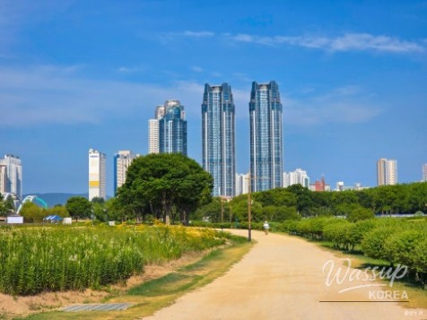 Exploring the Serene Taehwa River National Garden in Ulsan_15
