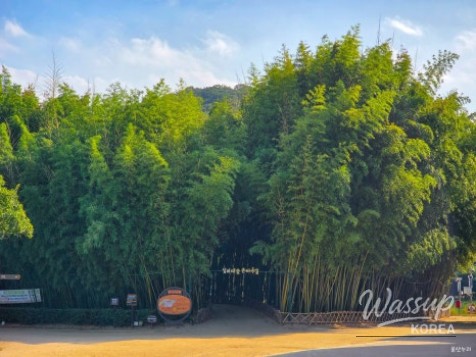 Exploring the Serene Taehwa River National Garden in Ulsan_05