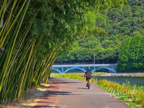 Exploring the Serene Taehwa River National Garden in Ulsan_10