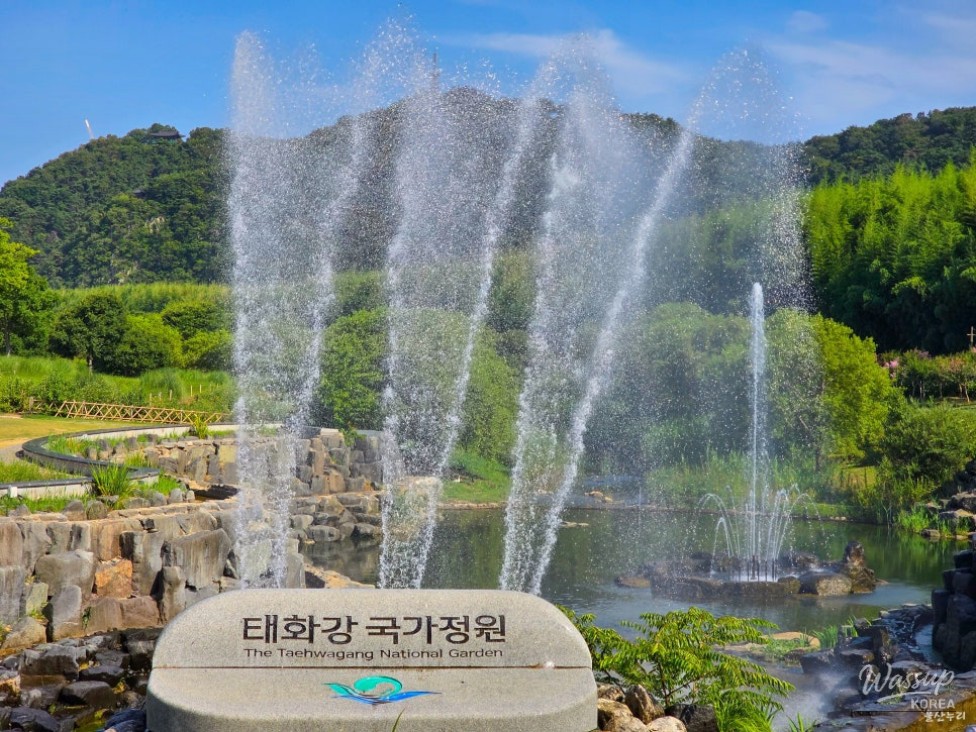 Exploring the Serene Taehwa River National Garden in Ulsan_02