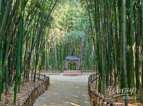 Exploring the Serene Taehwa River National Garden in Ulsan_13