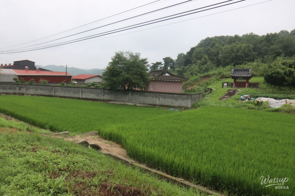 Exploring the Historic Jangdam Chungshingak in Goesan_03