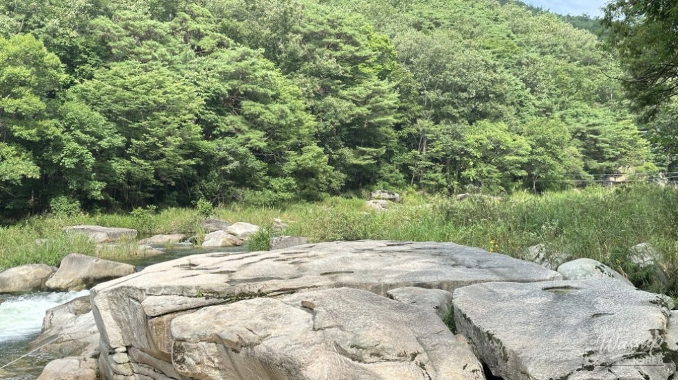 Discovering the Beauty of Huayang Valley in Summer_11