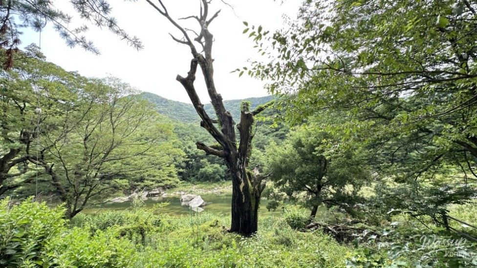 Discovering the Beauty of Huayang Valley in Summer_05