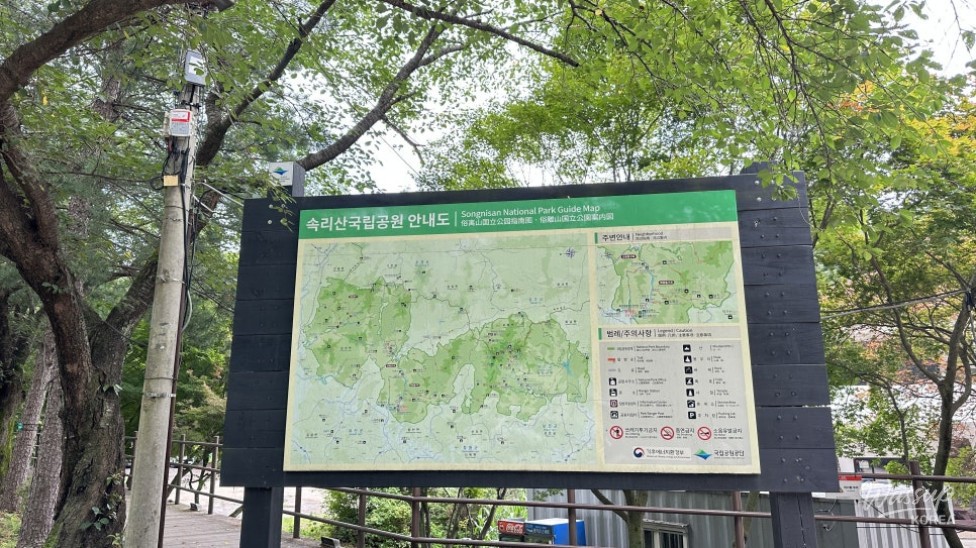 Discovering the Beauty of Huayang Valley in Summer_02