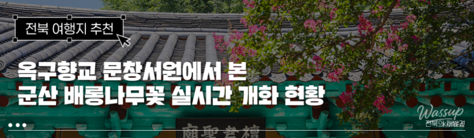 Exploring Gyeongju in August: The Beauty of Lagerstroemia_01
