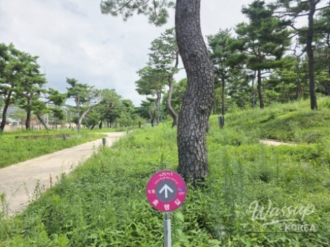 Exploring Suwon's Historical Nohsong Park_07