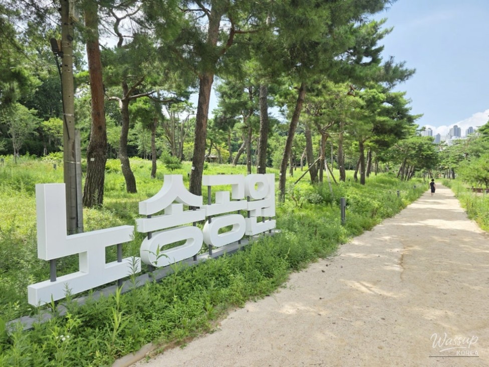 Exploring Suwon's Historical Nohsong Park_17