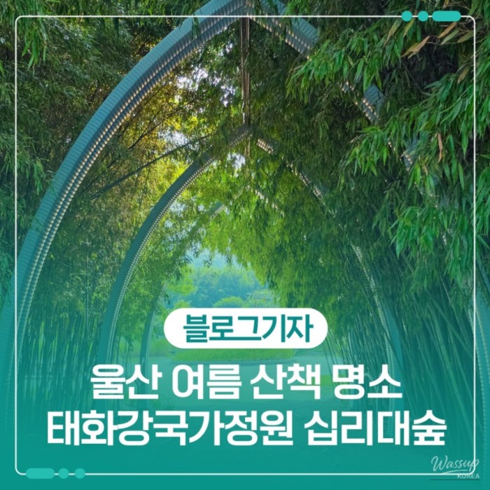 Exploring the Serene Taehwa River National Garden in Ulsan2345