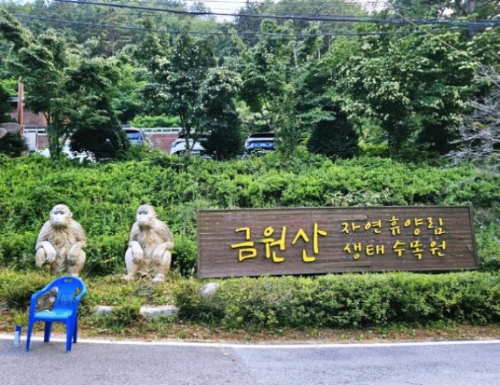 A Magical Evening at Geumwonsan Forest Music Festival float