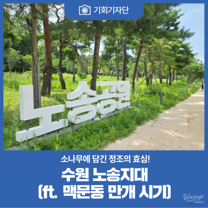 Exploring Suwon's Historical Nohsong Park2352