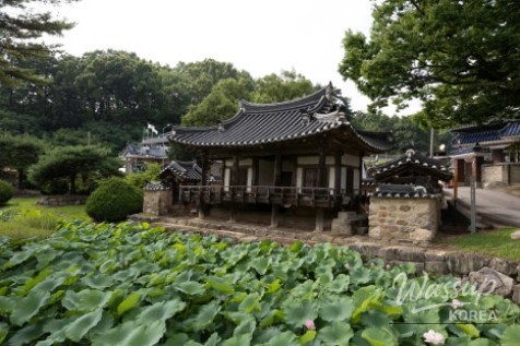 Exploring the Hidden Gem of Bonghwa: A Journey Through a Small City in Gyeongbuk_04