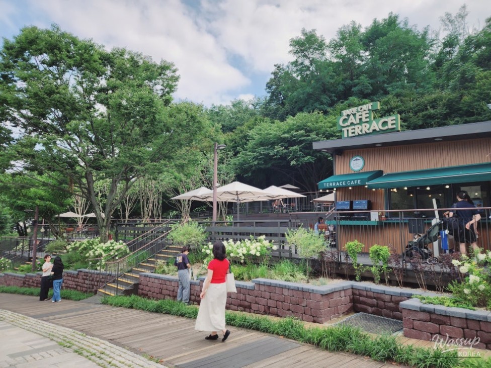 Explore the Beautiful Buk Seoul Dream Forest_11