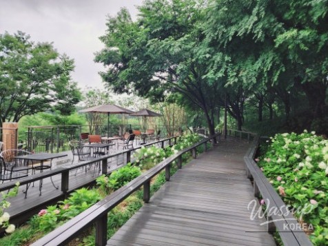 Explore the Beautiful Buk Seoul Dream Forest_08