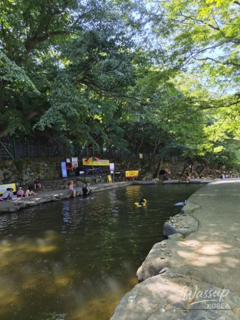 Discover the Coolness of Yeonhwa Valley This Summer_04