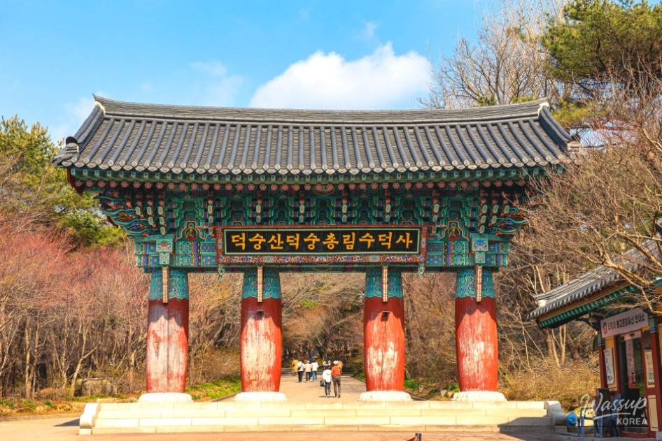 Discover the Enchantment of Sudoksa Temple_03