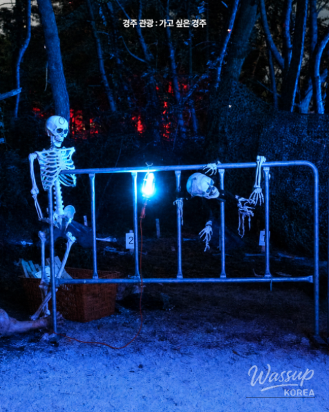 EX-HORROR: A Thrilling Experience Awaits in Gyeongju_09
