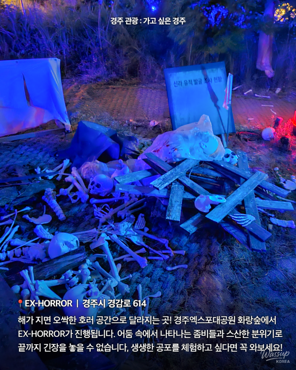 EX-HORROR: A Thrilling Experience Awaits in Gyeongju_02
