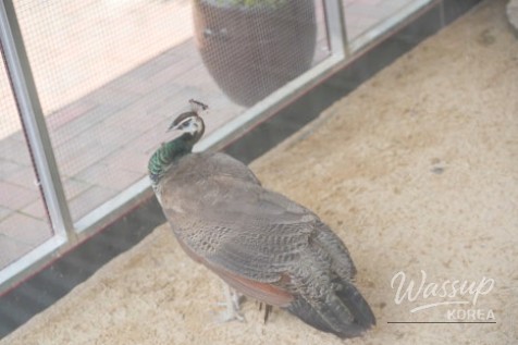 Exploring the Mungyeong Natural Ecology Museum_02
